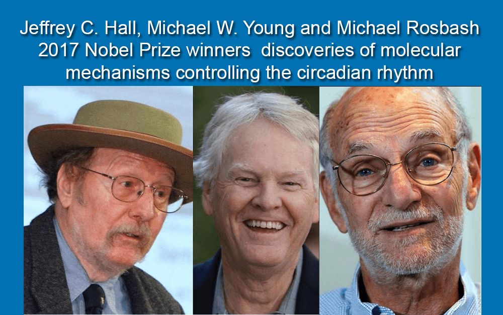 Jeffrey C. Hall, Michael W. Young and Michael Rosbash 2017 Nobel Prize winners discoveries of molecular mechanisms controlling the circadian rhythm