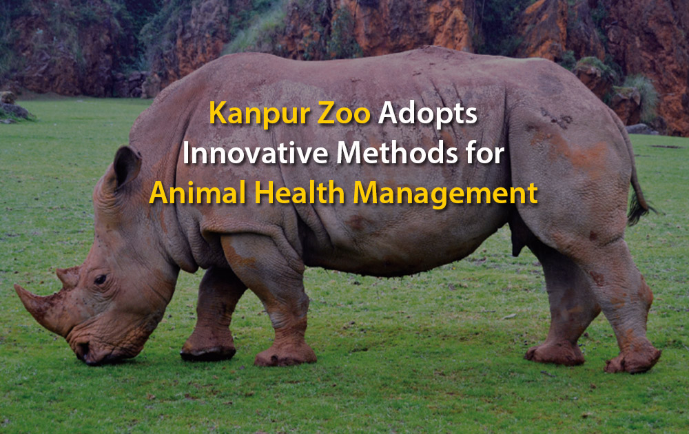 Kanpur Zoo Adopts Innovative Methods for Animal Health Management