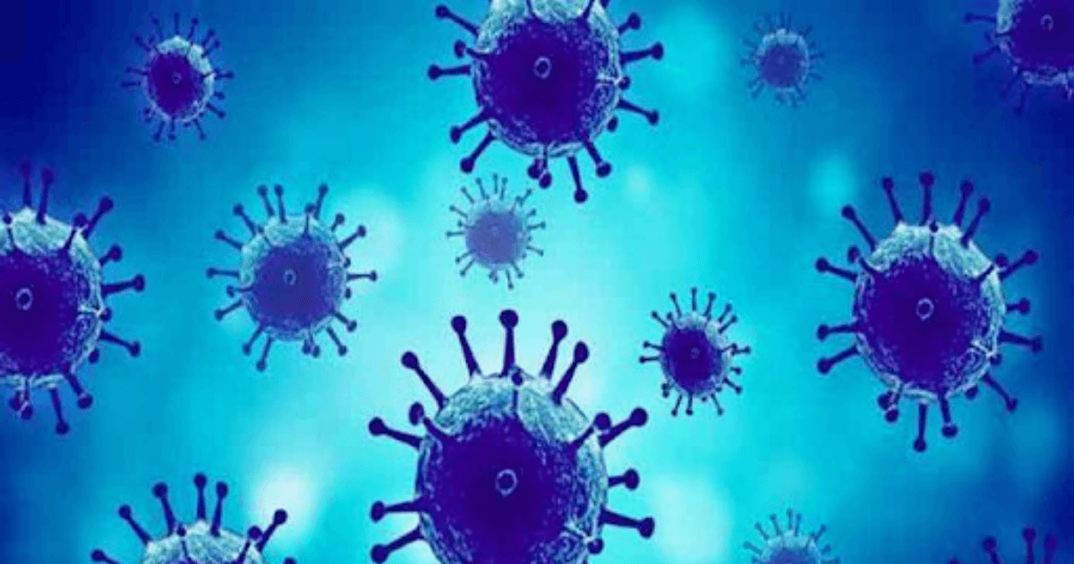 Government launches ‘One Health’ consortium for surveillance of bacterial, viral infections